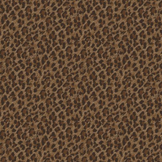 leopard    brown