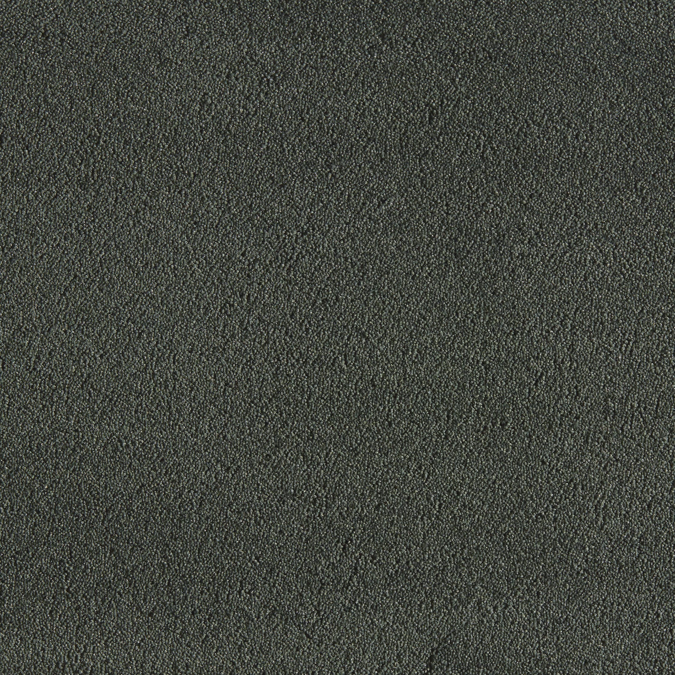 Texture dusty green