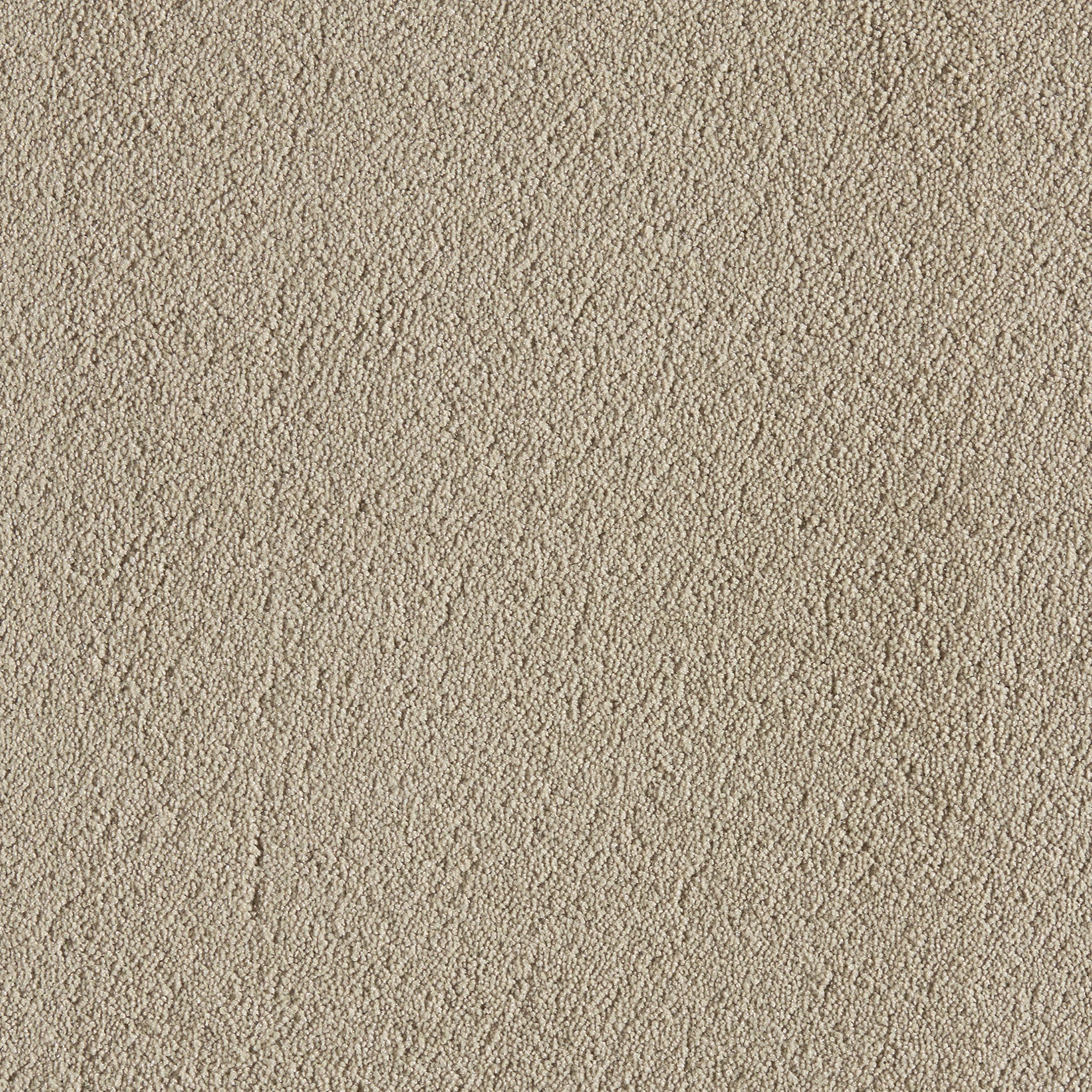 Texture 2000 camel