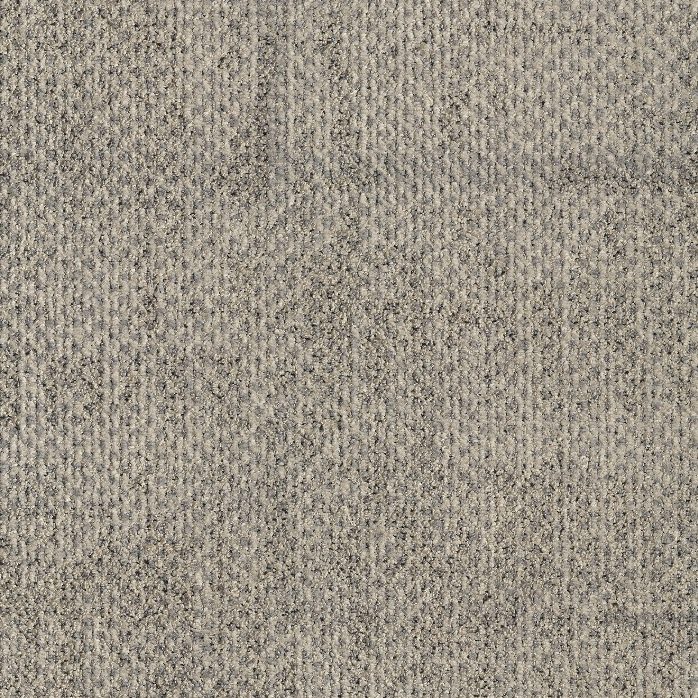 ReForm Transition Seed light grey 5595