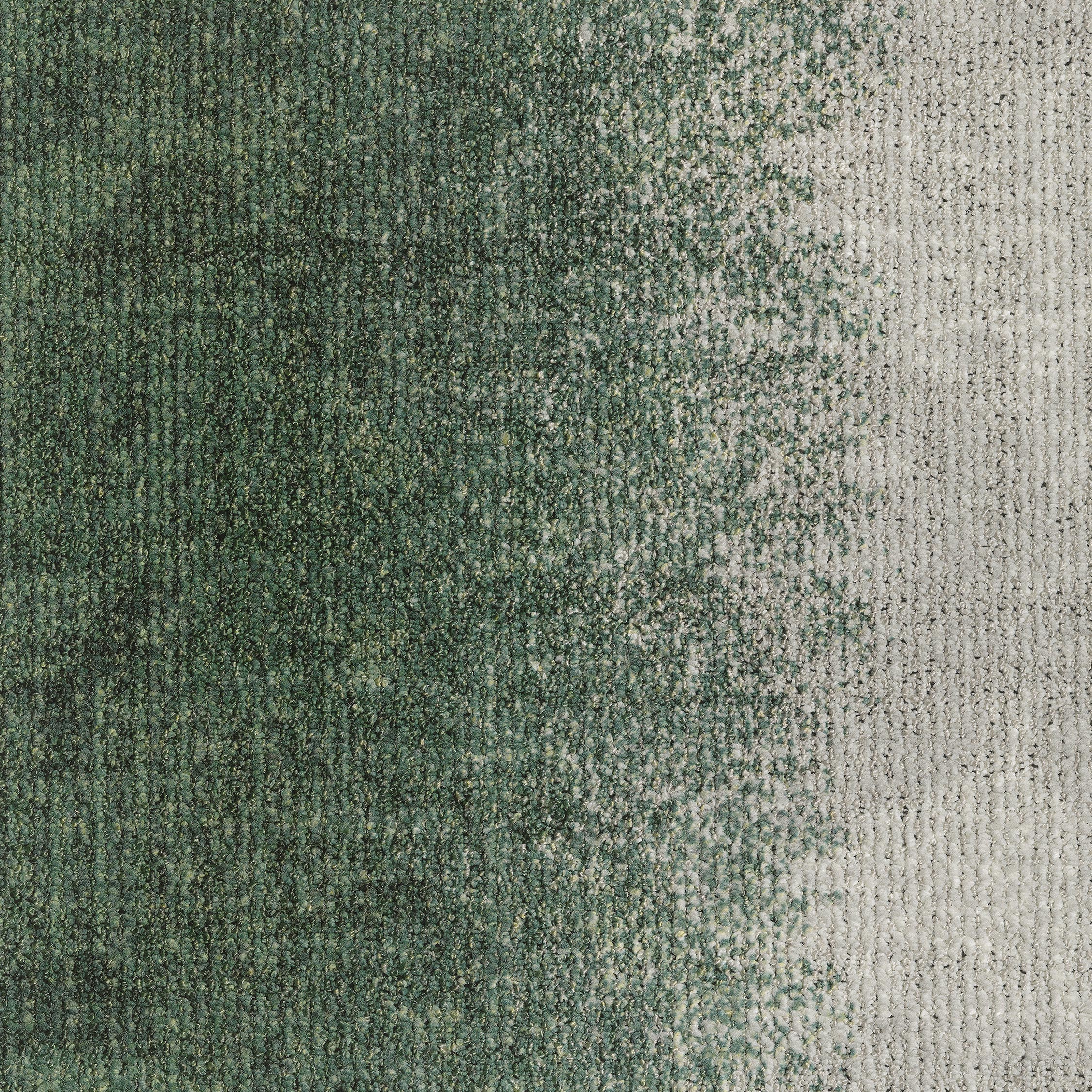 ReForm Transition Mix Leaf green/light grey 5500