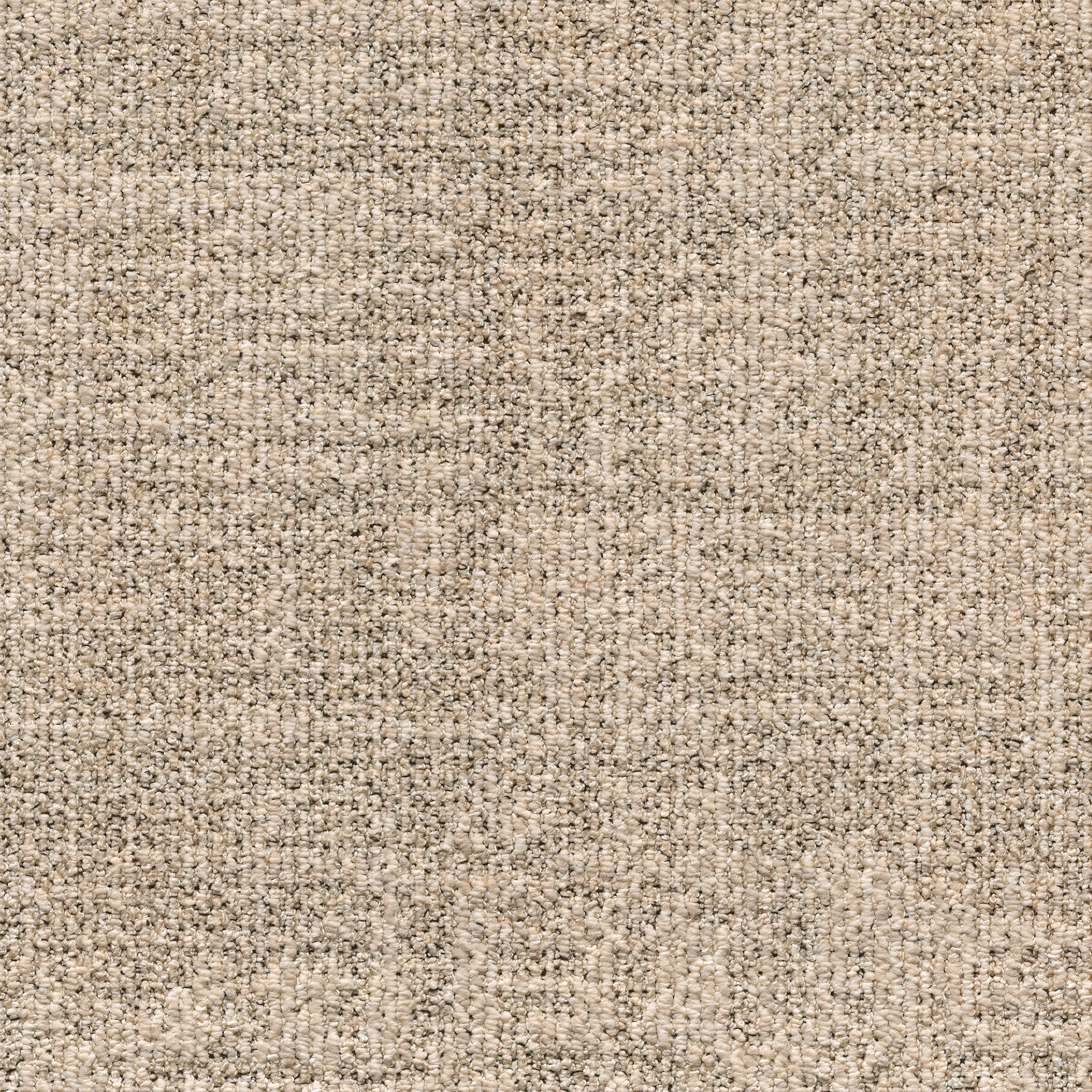 ReForm Transition Seed light beige 5575