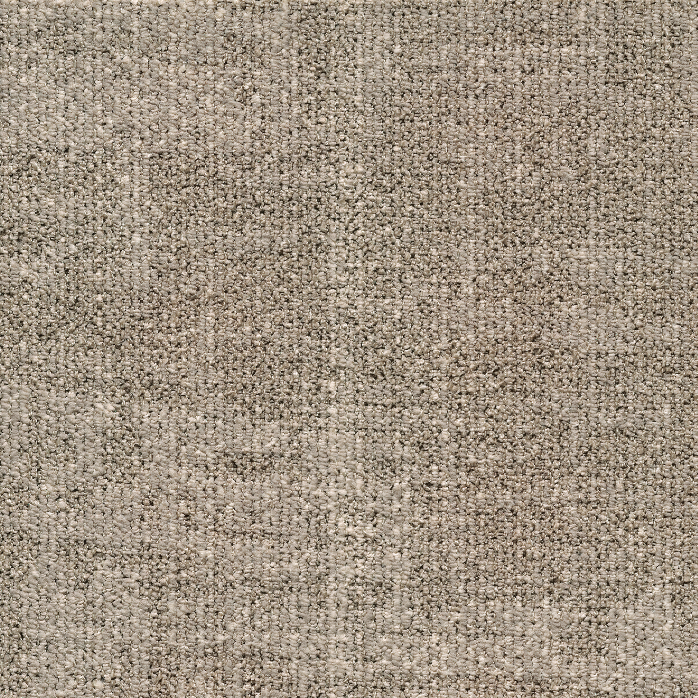 ReForm Transition Seed warm grey 5575