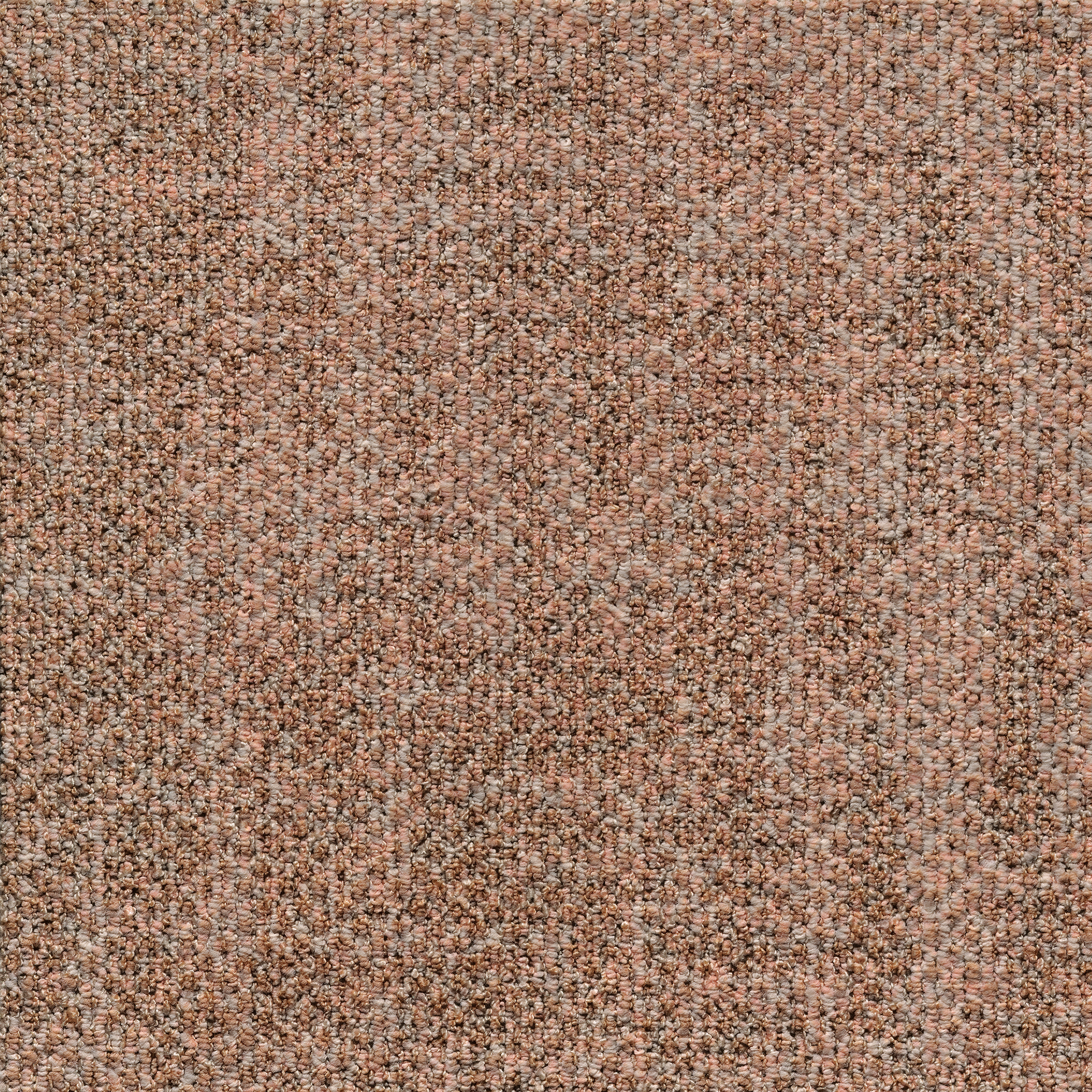 ReForm Transition Seed blush 5575