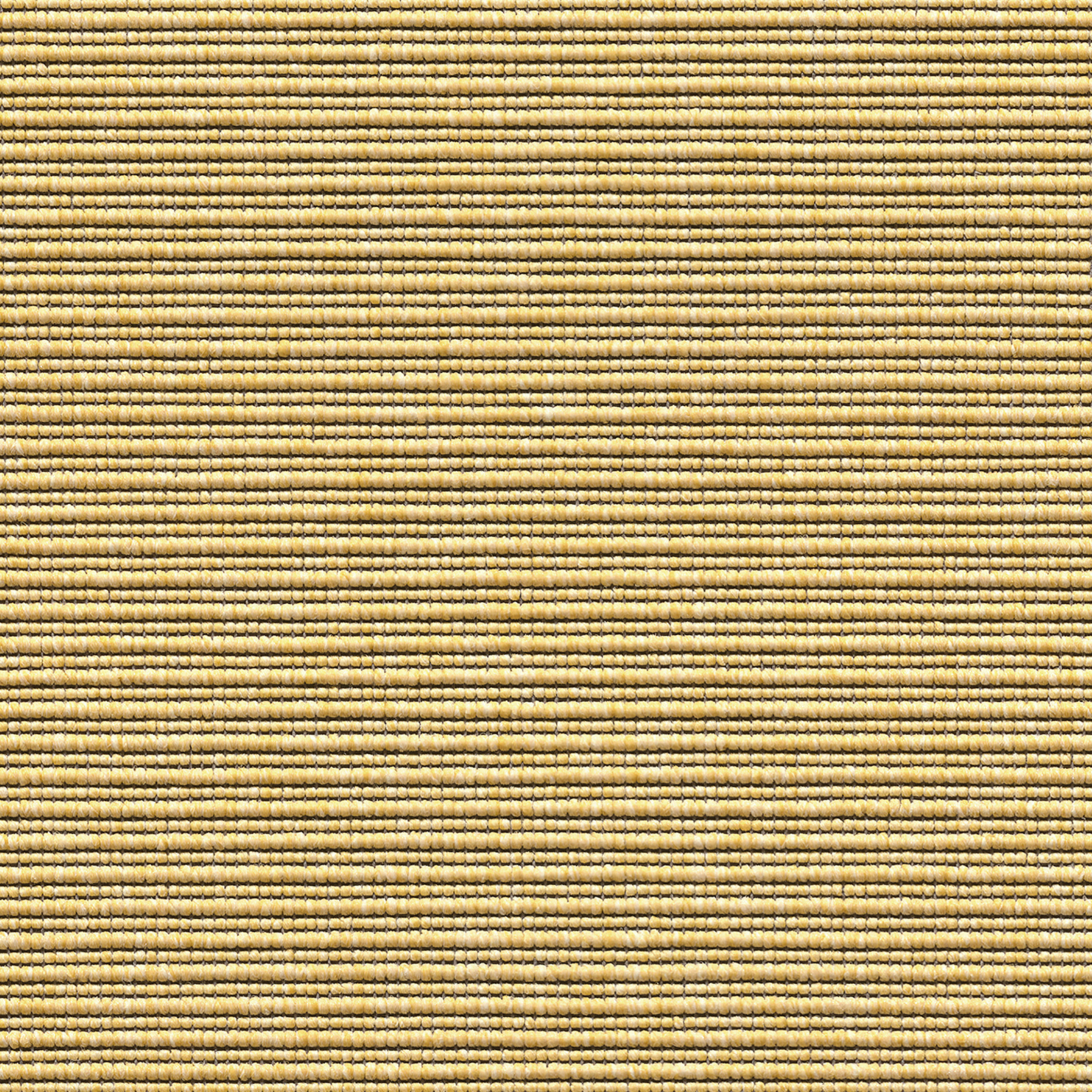 Eco Pro light citrine