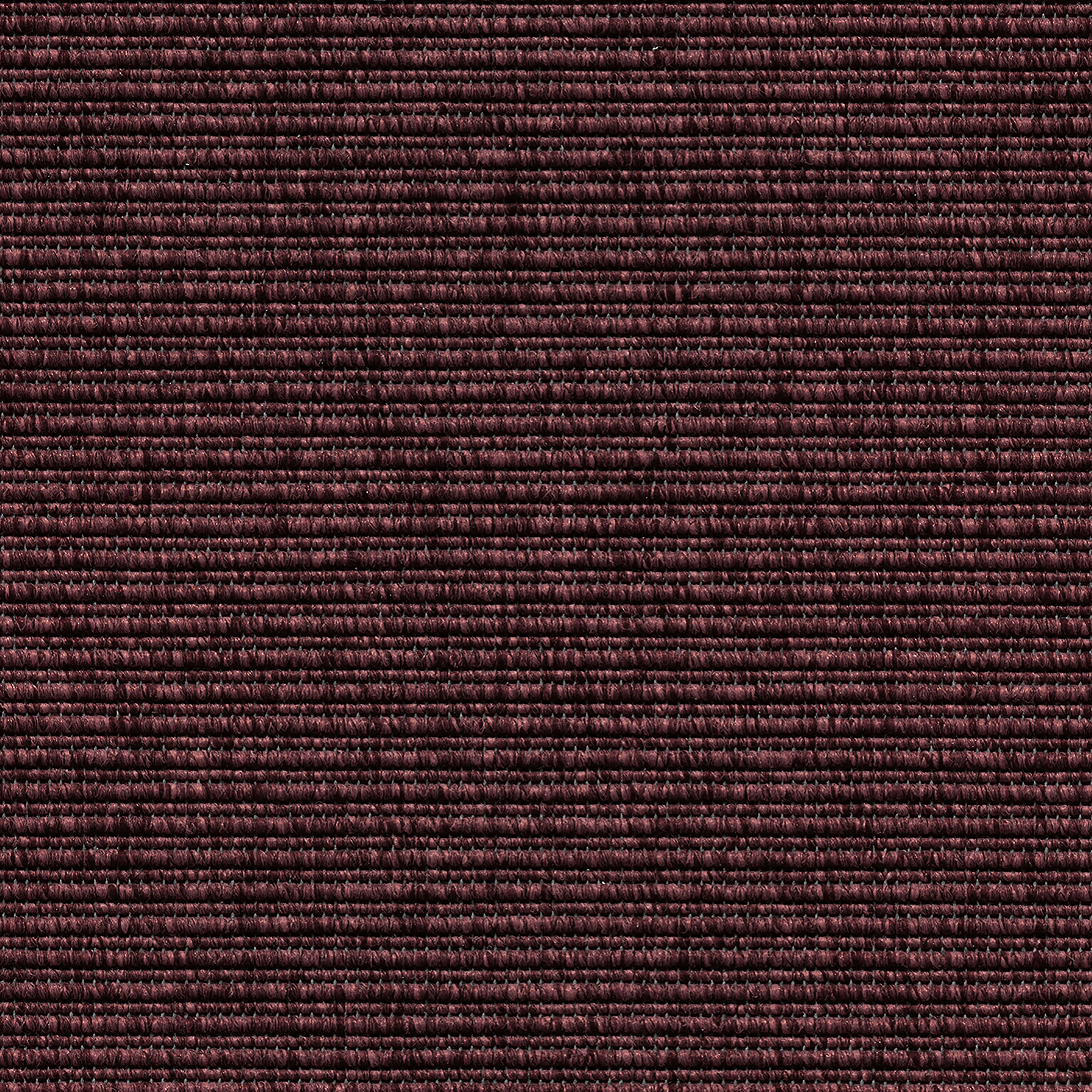 Eco Pro crimson purple