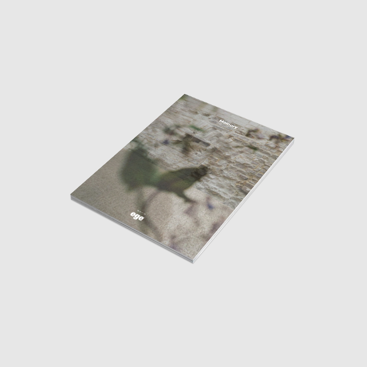 ReForm Memory brochure
