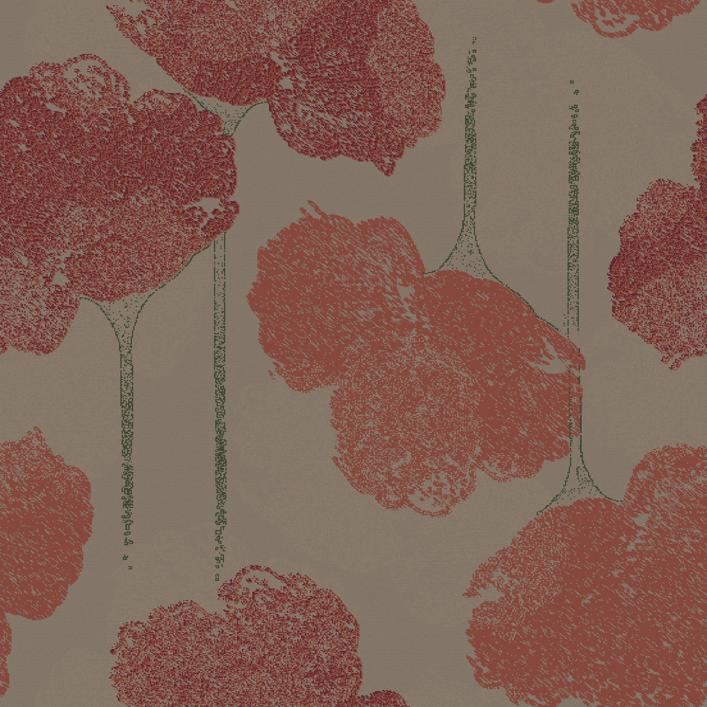 Colortec 80/20 feathery flower burnt orange