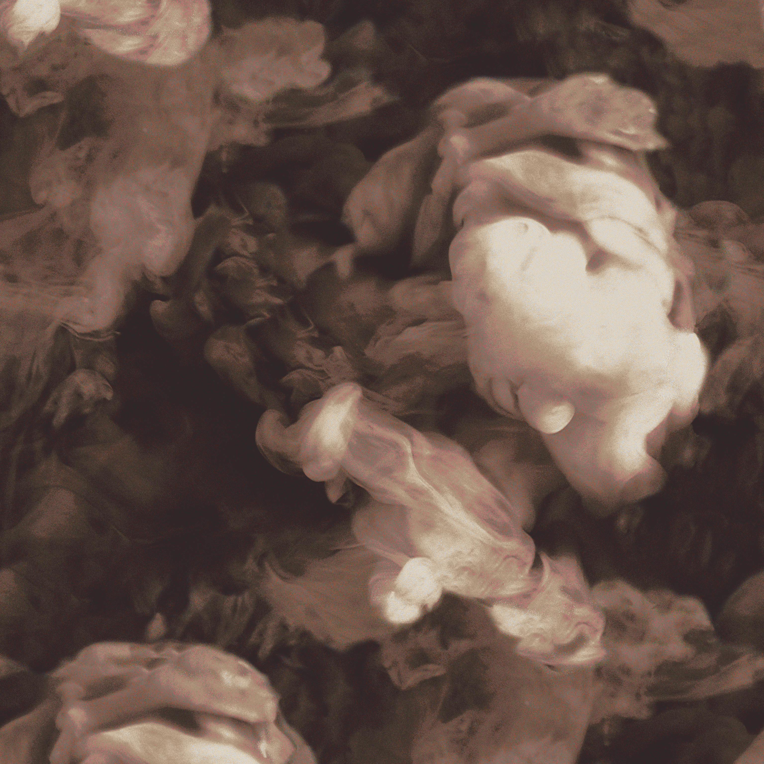 smoke  purple