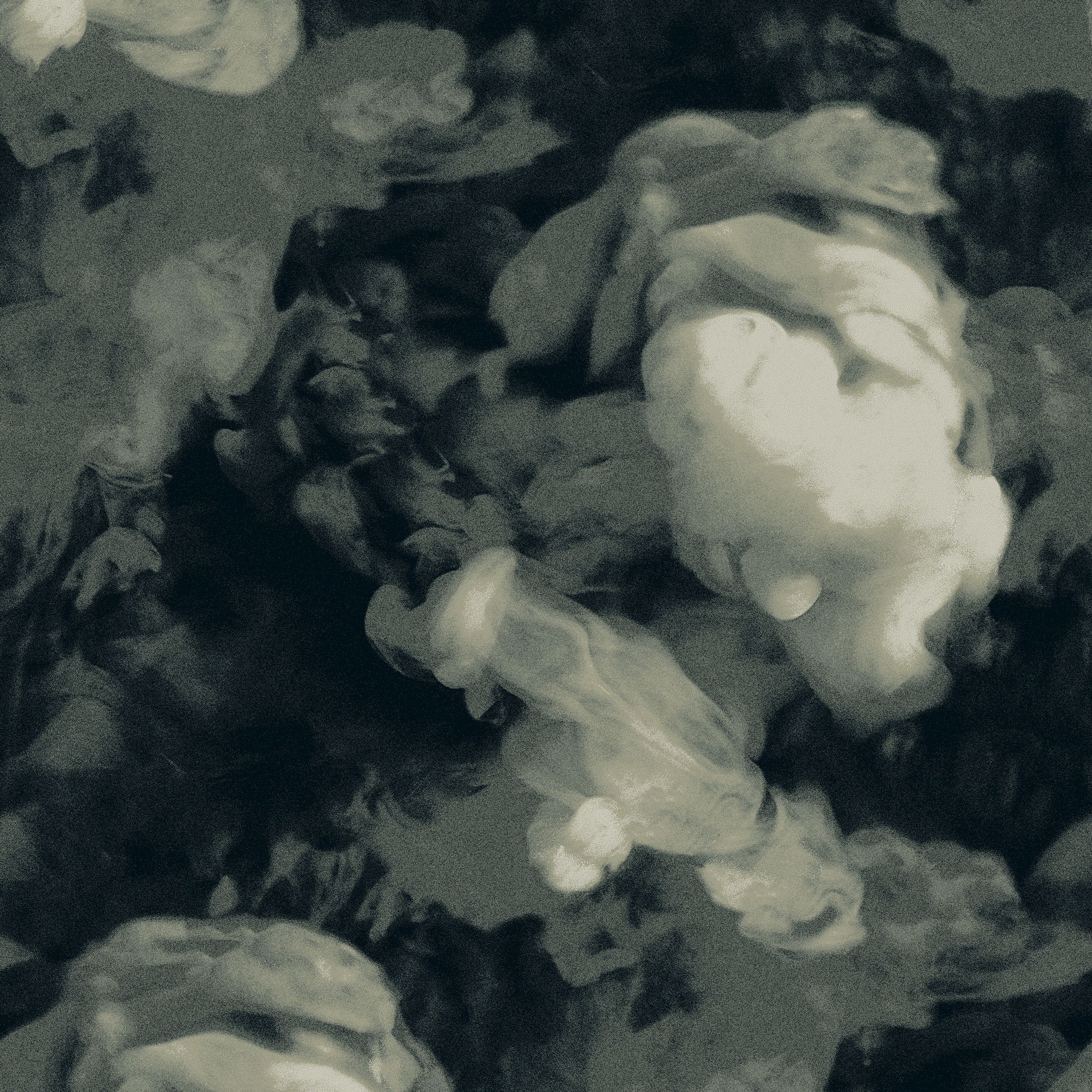 smoke  grey