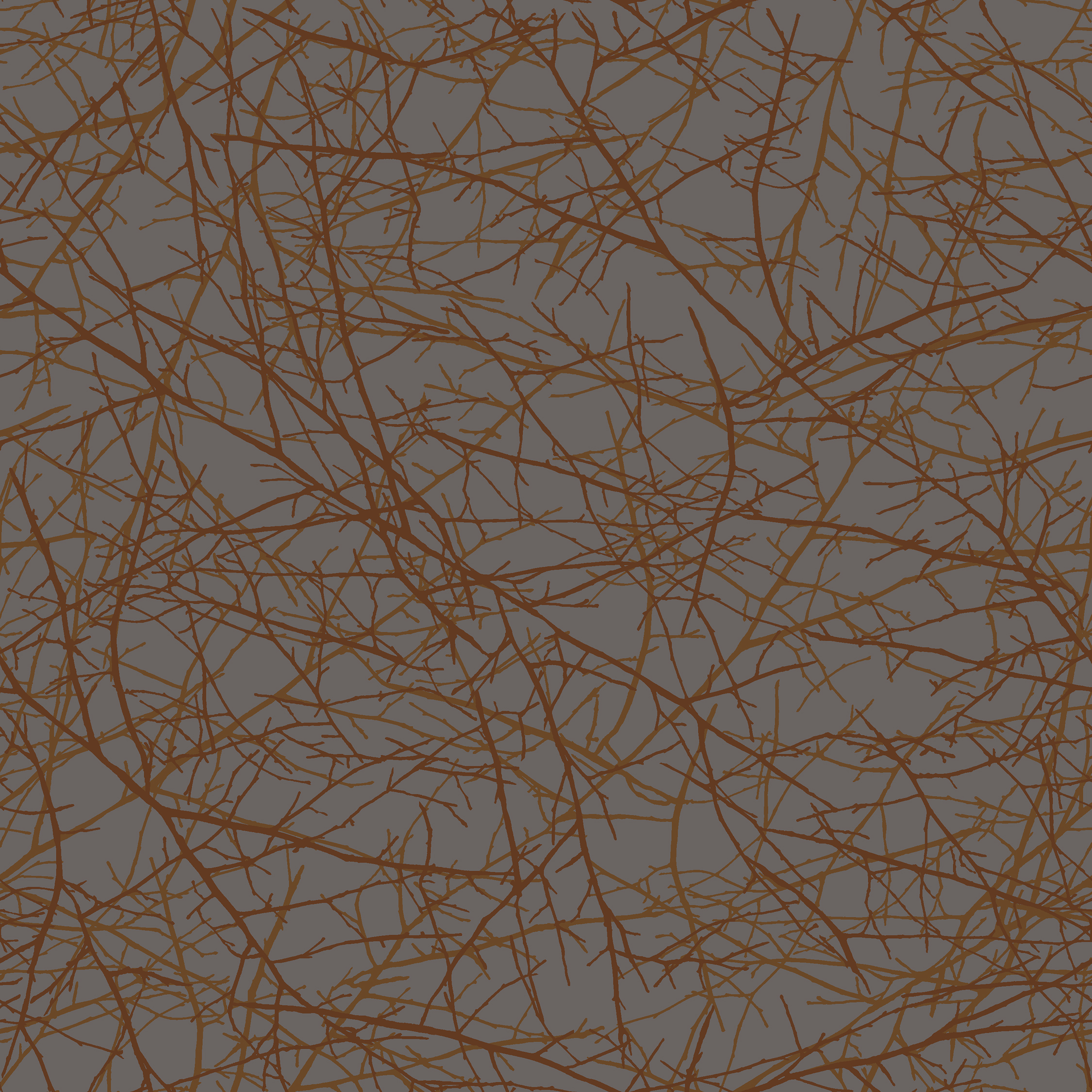 forest   grey