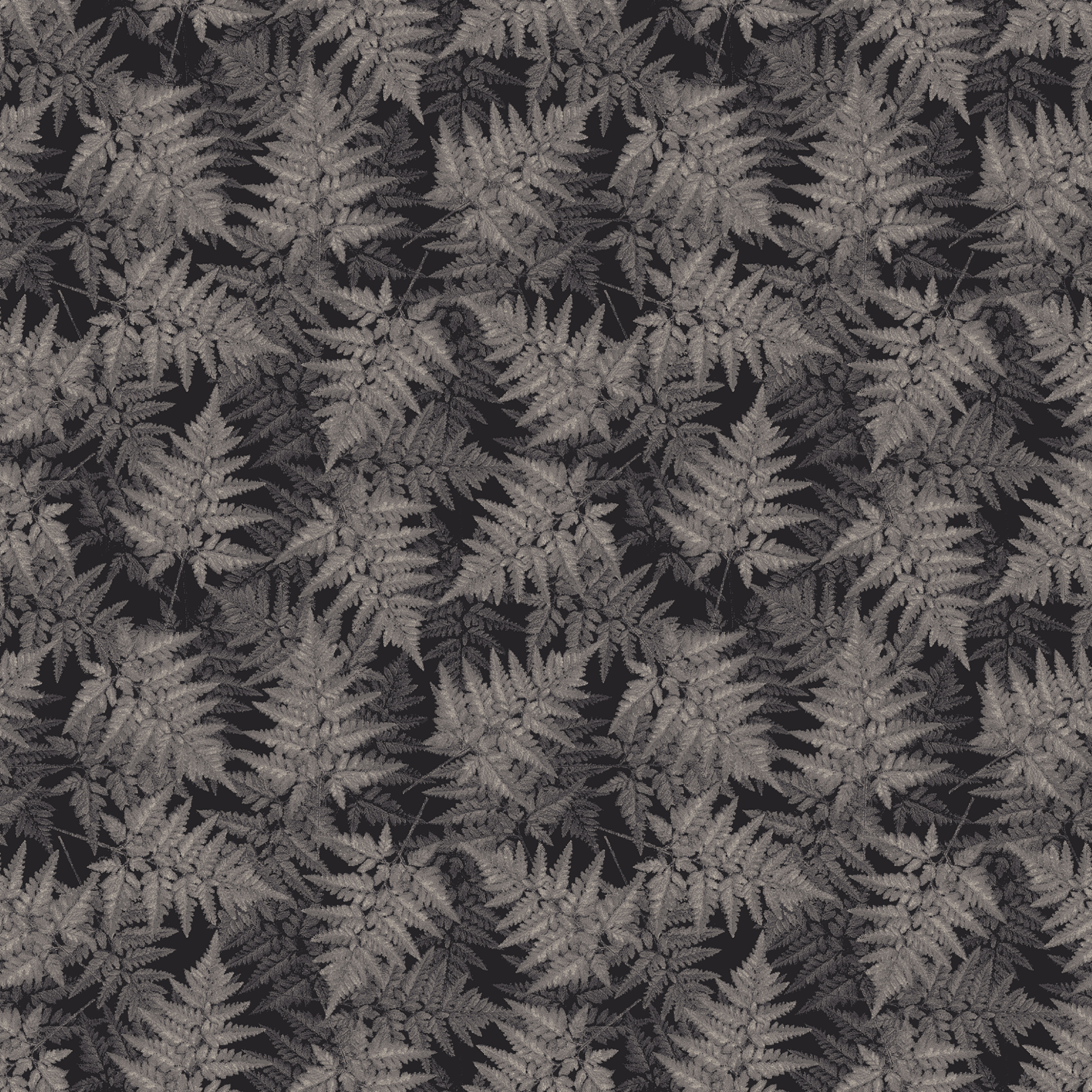 jungle floor  grey