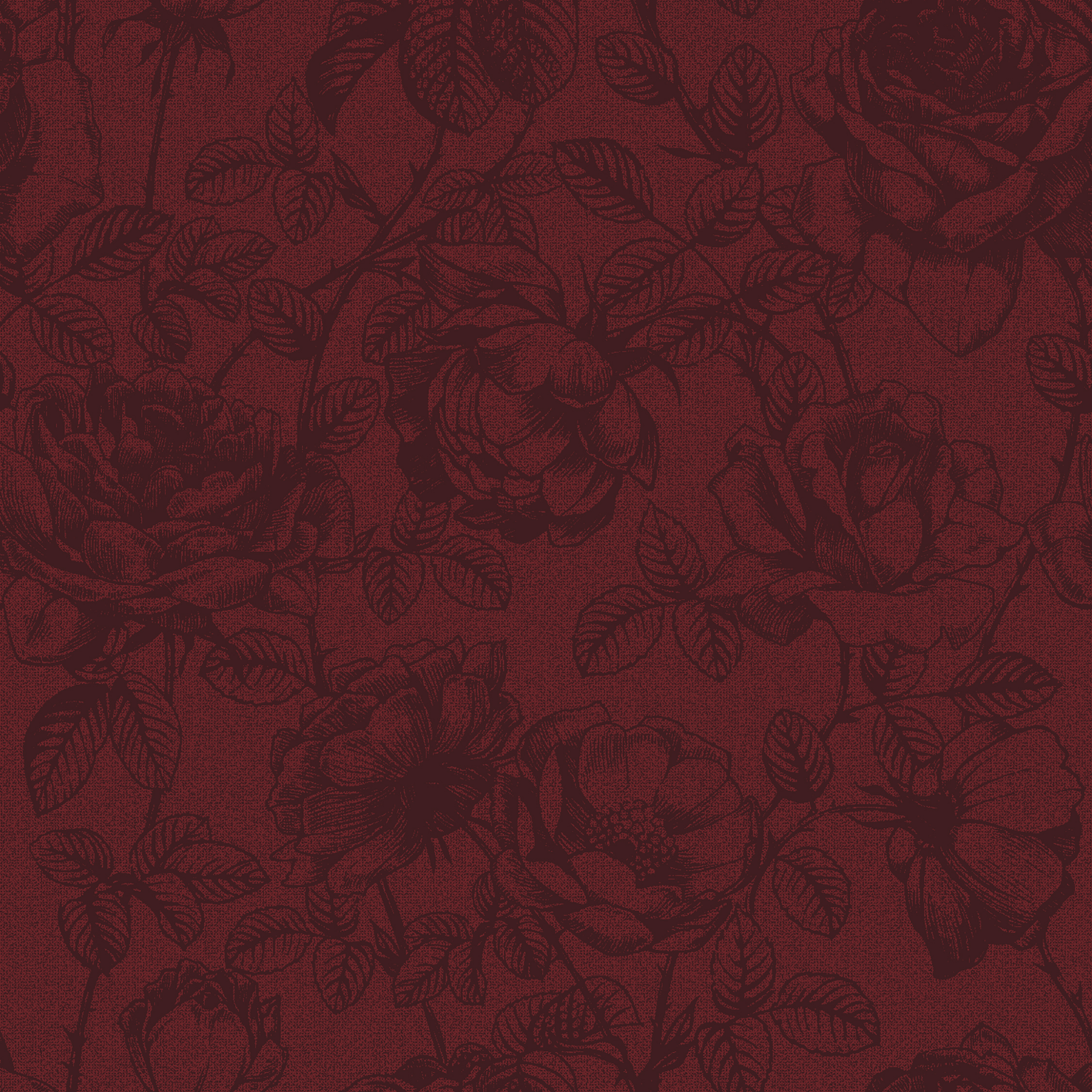 rose etching  red