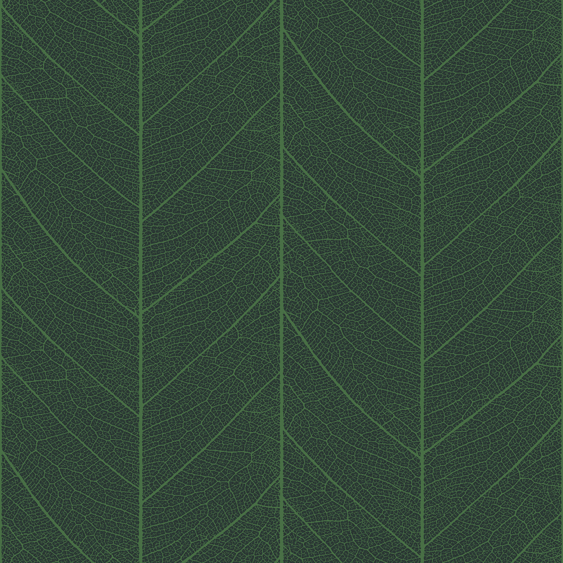 leaf skeleton  green
