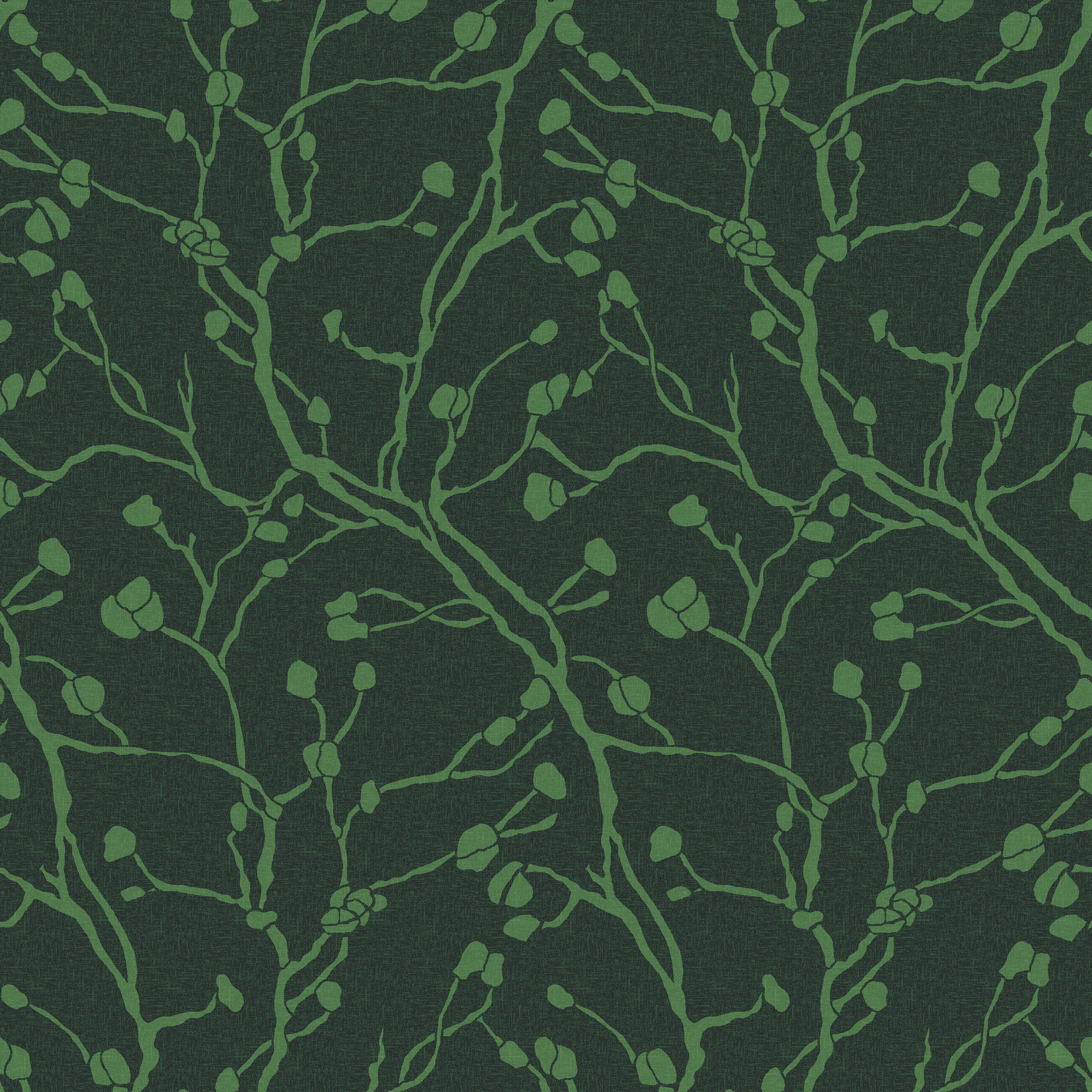 spring branch  green