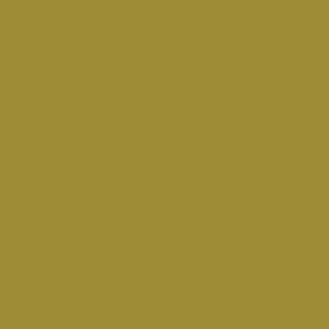 uni 5575 BC8  lime