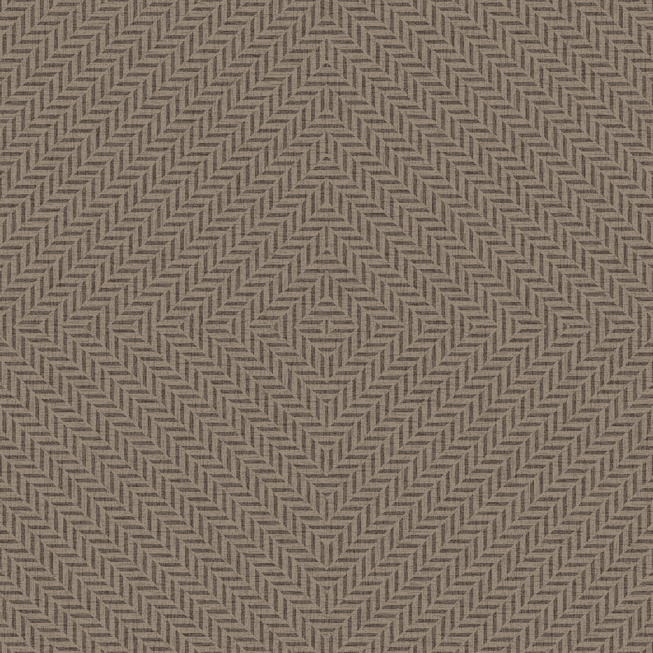 sudan  grey