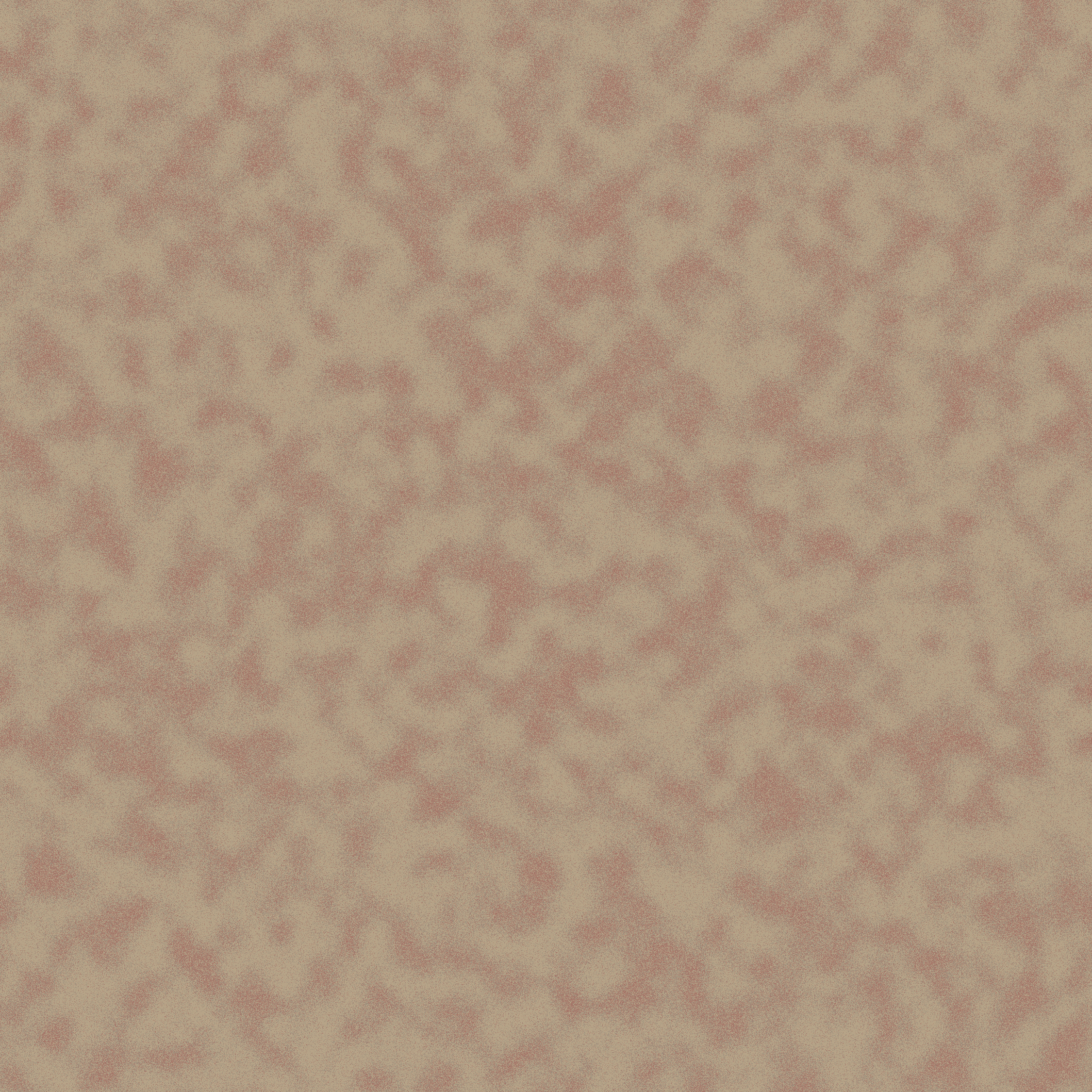 Cloudy  rose