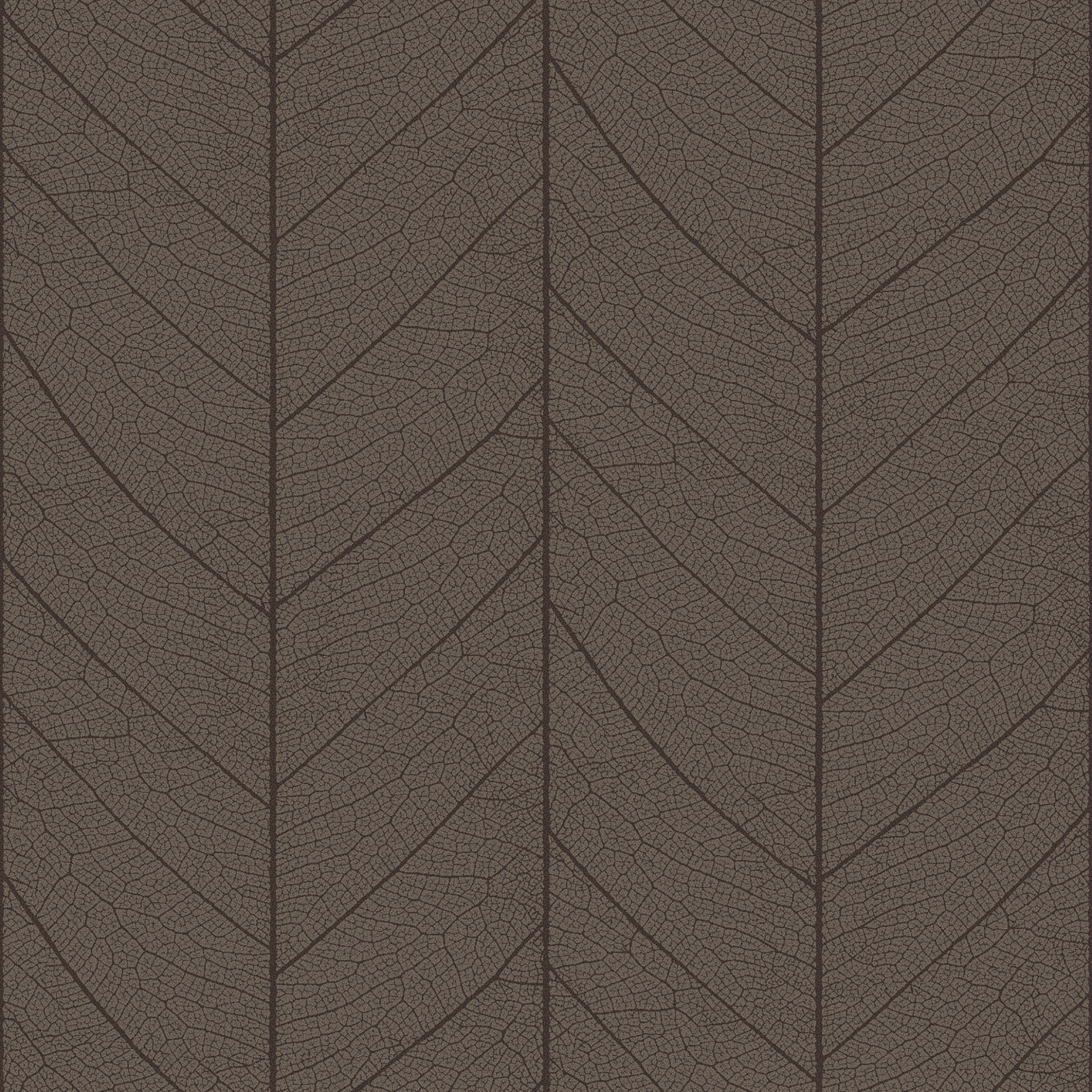 leaf skeleton  brown