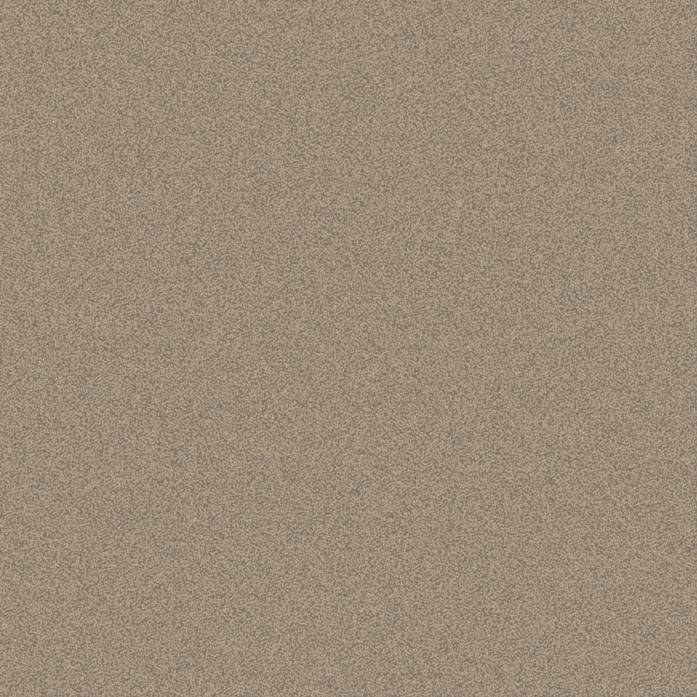 grainy texture  beige