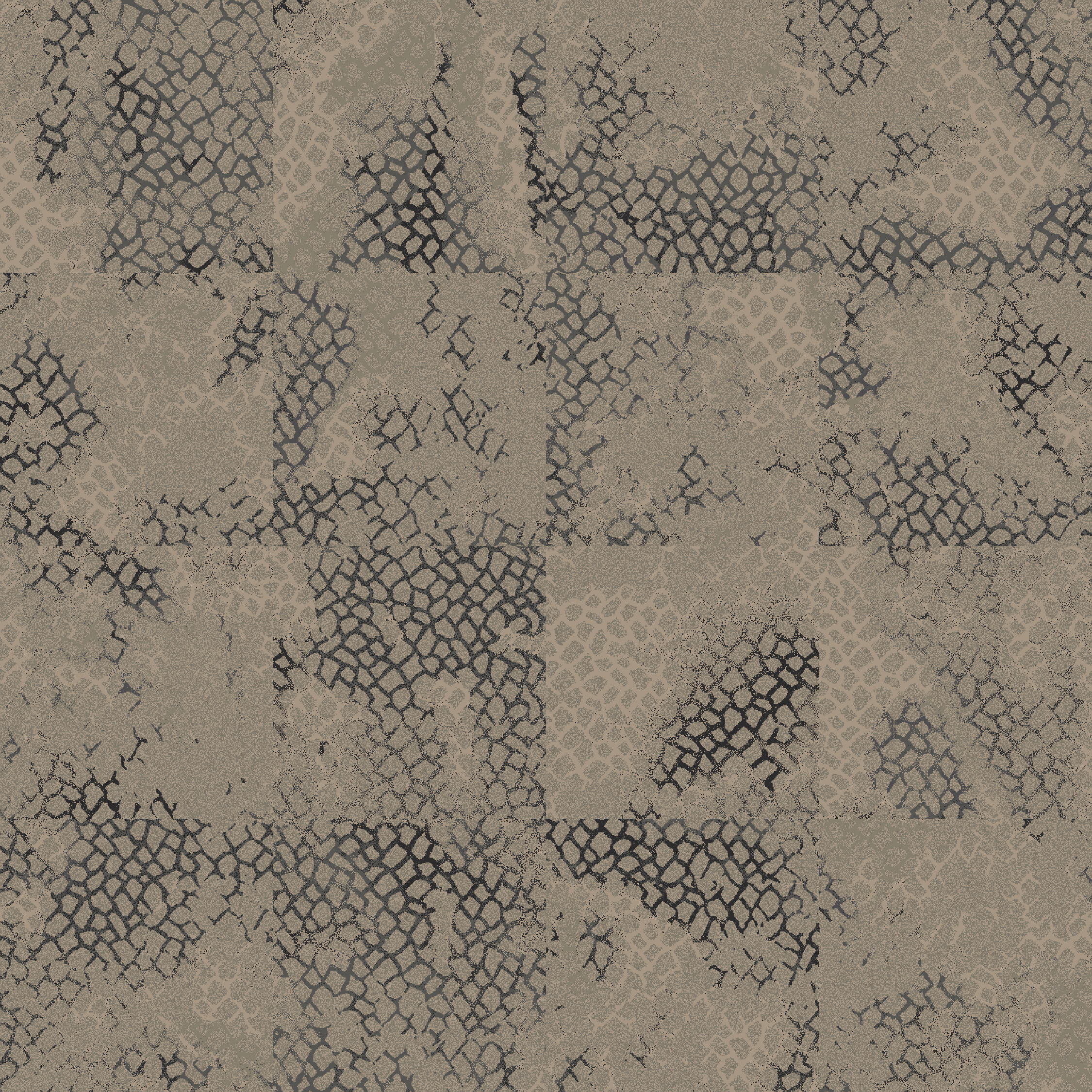 tangle  grey