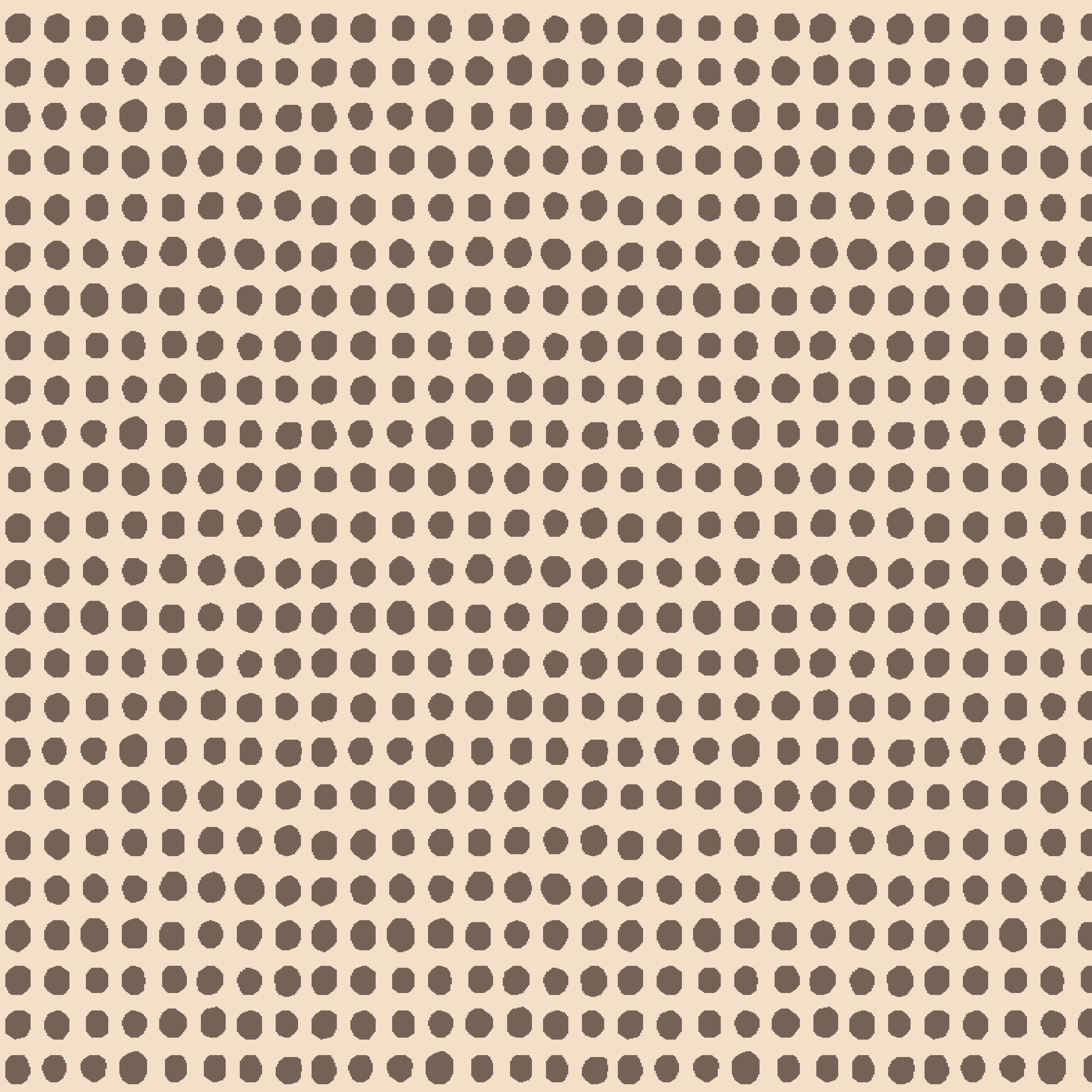 SHE LB1 ivory/dark brown