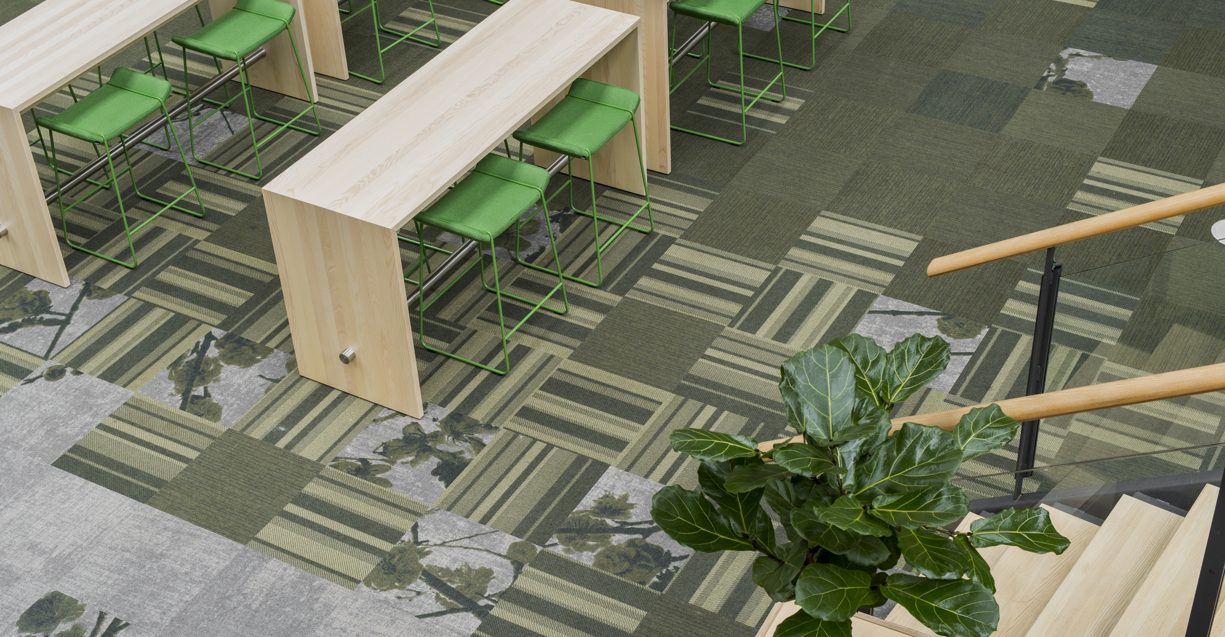 Education carpets