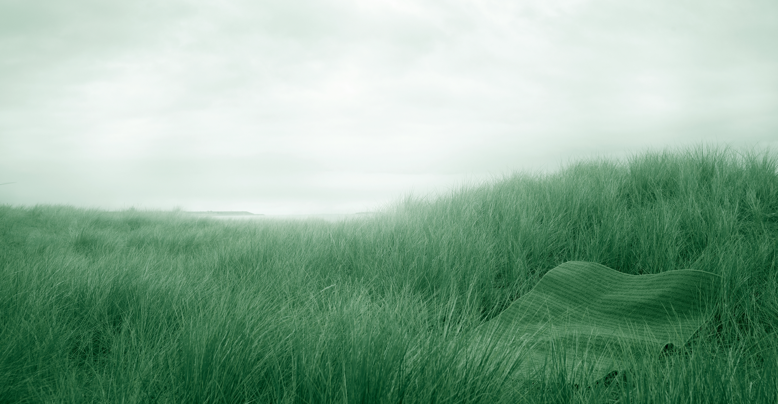 How can you ensure sustainability in your carpet selection?