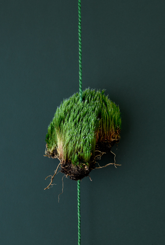 Sustainability is woven into our mindsets and carpets